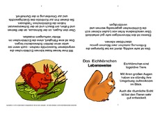 Eichhörnchen-Faltbuch-Lebensweise-B.pdf